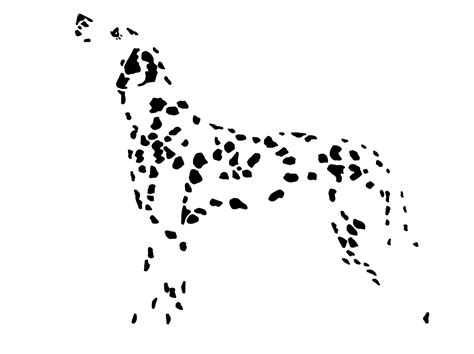 pin  richard vancuren  tattoos dog drawing dalmatian dog art