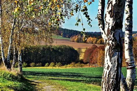 czpohadka podzimni krajina pole lesiky  louky objektivem fotografa
