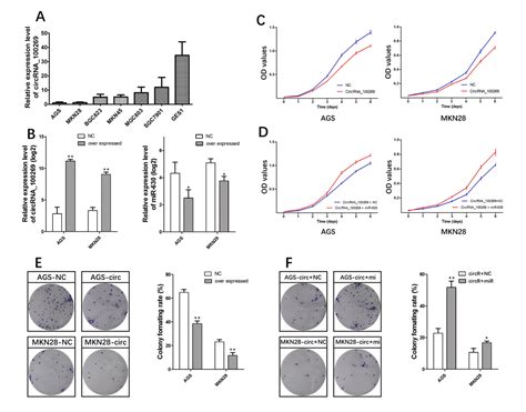 circrna  downregulated  gastric cancer  suppresses tumor cell growth  targeting