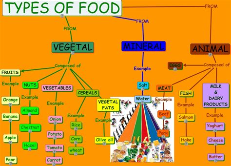 types  food food  english