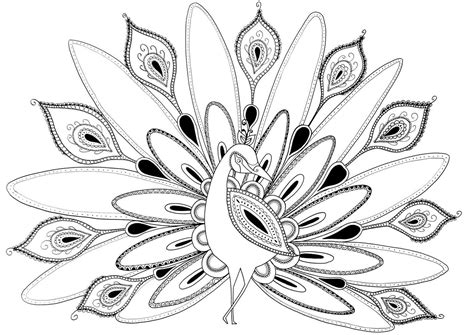 print peacock coloring pages images  peacock coloring pages