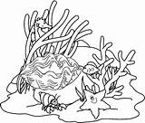Coloring Coral Oyster Reefs Pages Seven Wonderful sketch template