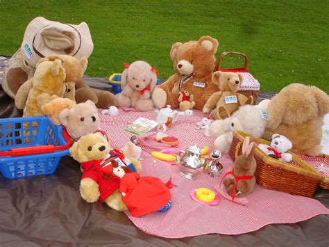 Teddy Bears Picnic 2008 Born In Bradford