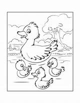 Ducks Verbnow Ducklings sketch template
