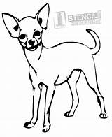 Chihuahua Stencils Coloring Dog Pages Printable Stencil Chihuahuas Dogs Drawing Animals Choose Board Stencilrevolution sketch template
