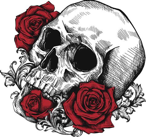 skull  roses drawing  skull pixels  xxx hot girl