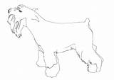 Schnauzer Line Drawing Getdrawings Coloring Dog Printable sketch template