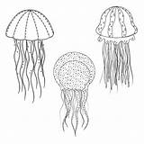 Jellyfish Vecteezy sketch template