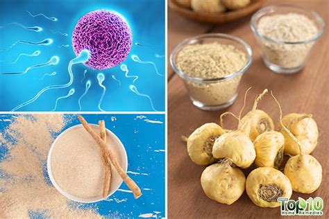 natural ways to boost male fertility and sperm count top 10 home remedies