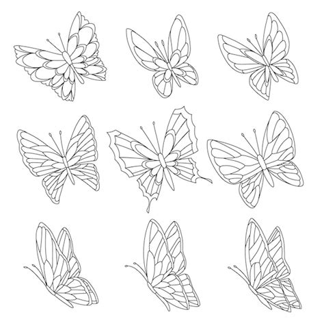 pagina de libro  colorear de mariposas aisladas en blanco vector