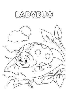 insect coloring pages  preschoolers coloring book