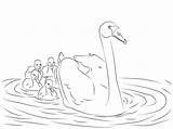 Swan Coloring Pages Cygnet Cygnets Babies Mute Printable Color Swans Drawing Baby Drawings Pond sketch template