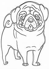 Pug Coloring Pages Sheet Print sketch template