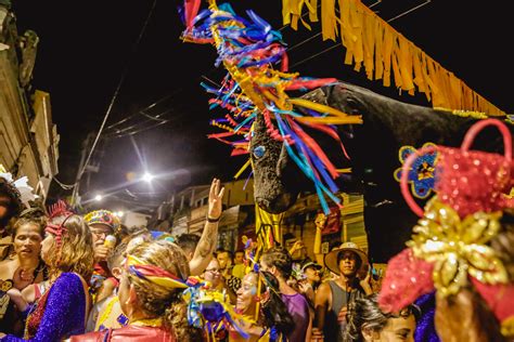 carnaval  macuca lanca camisa da previa  agito em olinda portal pinzon
