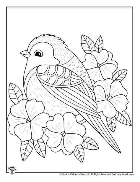 spring birds coloring page