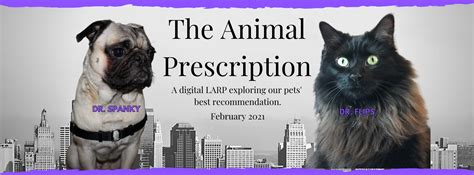 animal prescription  geek initiative