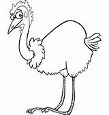 Emu Cartoon Vector Ostrich Coloring Vectors sketch template