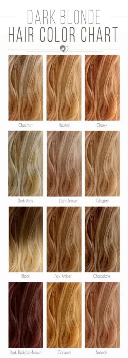 Blonde Hair Color Chart The Shades Kissed By The Sun