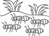 Ants Marching Colorir Formiga Ant Desenhos Grasshopper Independencia Boyama Karınca Héroes sketch template