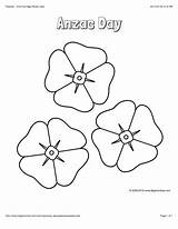 Anzac Poppy Poppies Template Coloring Remembrance Color Pages Flower Colouring Printable Sheets Memorial Activities Kids Veterans Bigactivities Flowers School Sheet sketch template