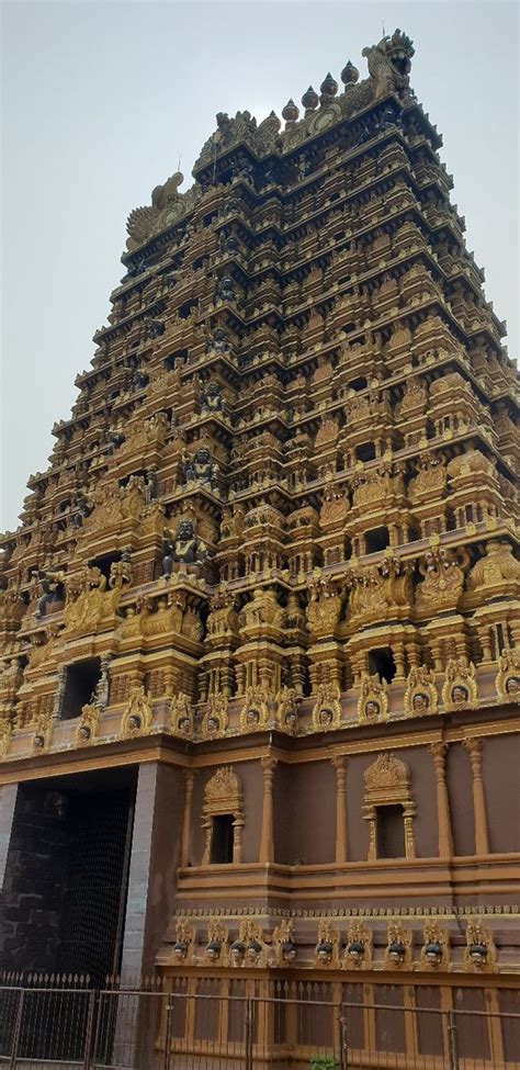 nallur kandaswamy kovil festival jaffna 2019 all you