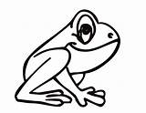 Frog Coloring Frogs Color Pages Kids Coqui Printable Drawing Sheets Easy Cartoon Tattoo Clipart Drawings Tree Cliparts Print Cute Animal sketch template