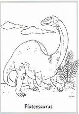 Coloring Plateosaurus Pages Dinosaur Kids Bacheca Scegli Una Da sketch template