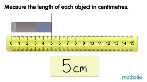 measuring length  centimetres youtube