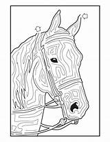 Caballos Mazes Breyerhorses Riding Activityshelter sketch template