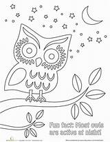 Nighttime Chouette Origami Owls sketch template