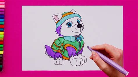 draw everest paw patrol characters youtube