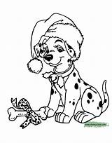 Coloring Christmas Pages Disney Puppy Dalmatian Disneyclips Present Fit sketch template