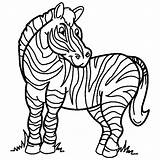 Coloring Zebra Pages Print Printable Popular sketch template