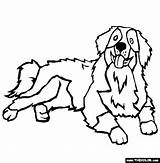 Coloring Dog Pages Mountain Bernese Dogs Online Kids Color Drawing Pets Puppies Thecolor Printable Sheets Ausmalbilder Animal Clipart Animals Book sketch template