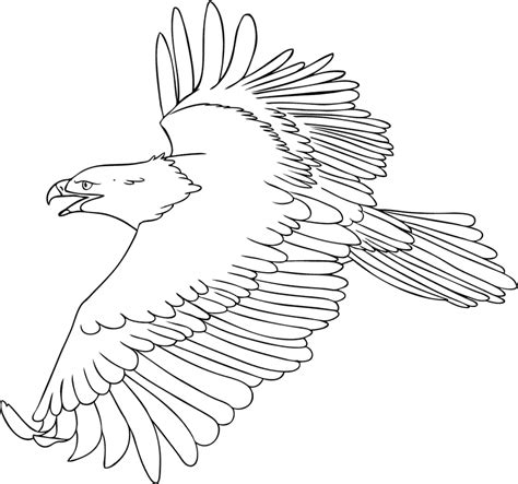 flying bald eagle coloring page animals town
