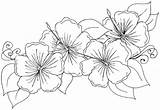 Hibiscus Crafts Leis sketch template