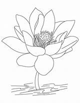 Coloring Pages Flower Lotus Kids Bestcoloringpagesforkids Printable Drawing sketch template