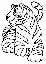 Tigre Boyard Hugolescargot Coloriages Ffee Tigres Savane Zoo Félins sketch template