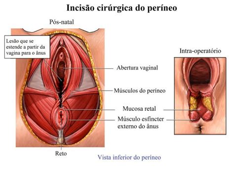 dor na vagina e vulva causas e remédios naturais