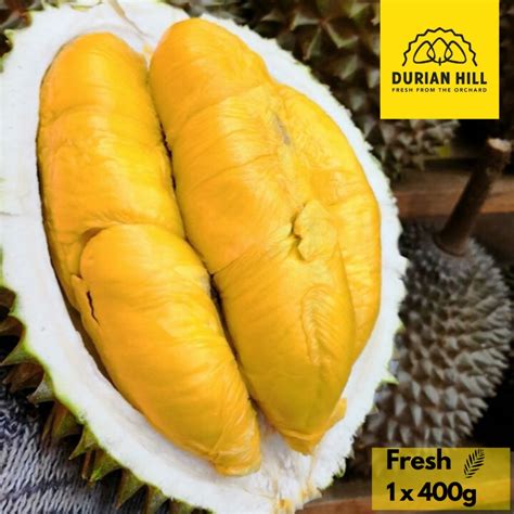 durian hill fresh musang king duri    pm