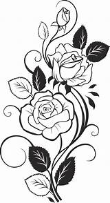 Rose Vector Flower 3axis Pages Cdr Roses Vine Coloring Drawing  Pattern Wood Adult Burning Sheets Hand Colouring sketch template