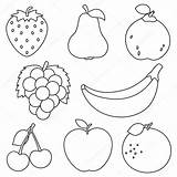 Illustration Summer Vectorillustratie Vruchten Kleuren Fruit Eps Yusufdemirci Illustratie sketch template