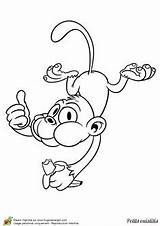 Coloring Pages Monkey sketch template