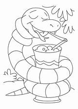Snake Mewarnai Ular Snakes Anaconda Tulamama sketch template