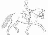 Horse Dressage Drawing Lineart Training Use Morda Vox Drawings Deviantart Coloring Pages Outline Google Gaited Dibujos Sketches Caballos Choose Board sketch template
