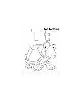 Coloring Tt Letter Printable Pages Tortoise Wit sketch template