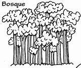 Bosque Bosques Arboles Arbol Poesias Laminas Recursos Relacionados Publicada sketch template