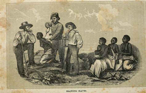 an overview of the trans atlantic slave trade brewminate a bold