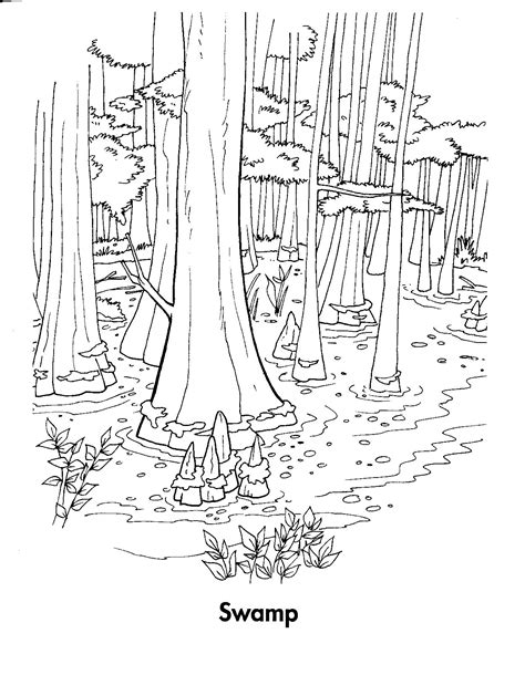 forest habitat coloring pages fun   pinterest forest habitat