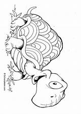 Tartaruga Schildpad Tortuga Kleurplaat Educima Colorare Tortue Educol Schoolplaten sketch template